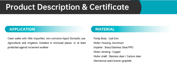 Modern Design 1HP Cgo High Quality Favorable Price Standard Motor Transfer Centrifugal Clean Water Pumps