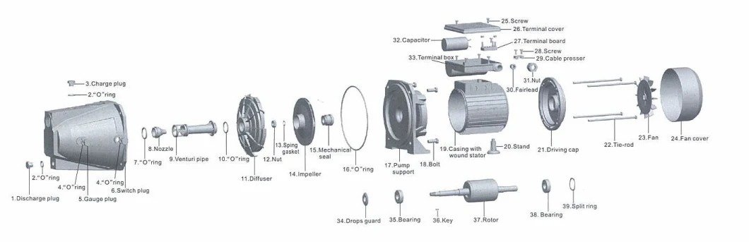 1HP Electric Motor Iron Casting High Pressure Agriculture Immigration Surface Jet Water Pump with Ce for Domestic (JET-L)