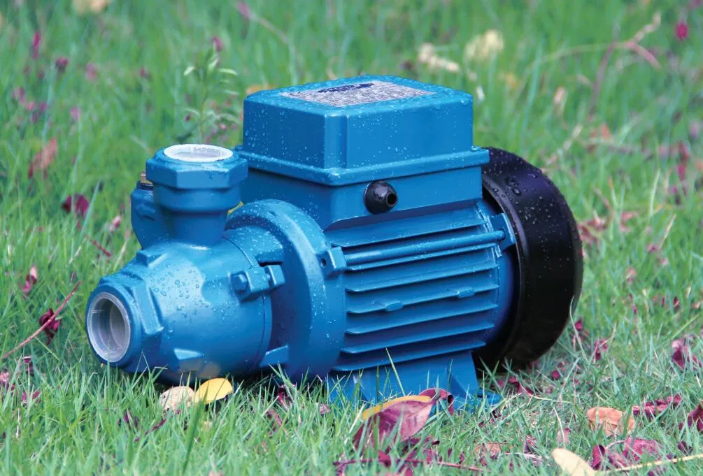 Durable High-Pressure Domestic Electric Water Pump Centrifugal Vortex Water Pump