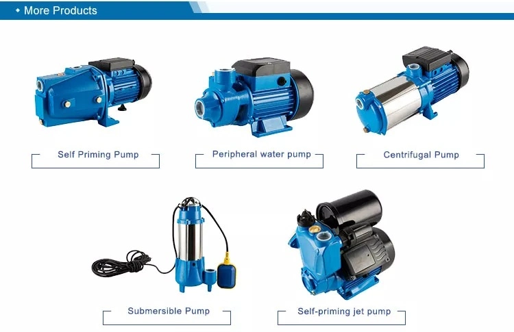 Durable High-Pressure Domestic Electric Water Pump Centrifugal Vortex Water Pump